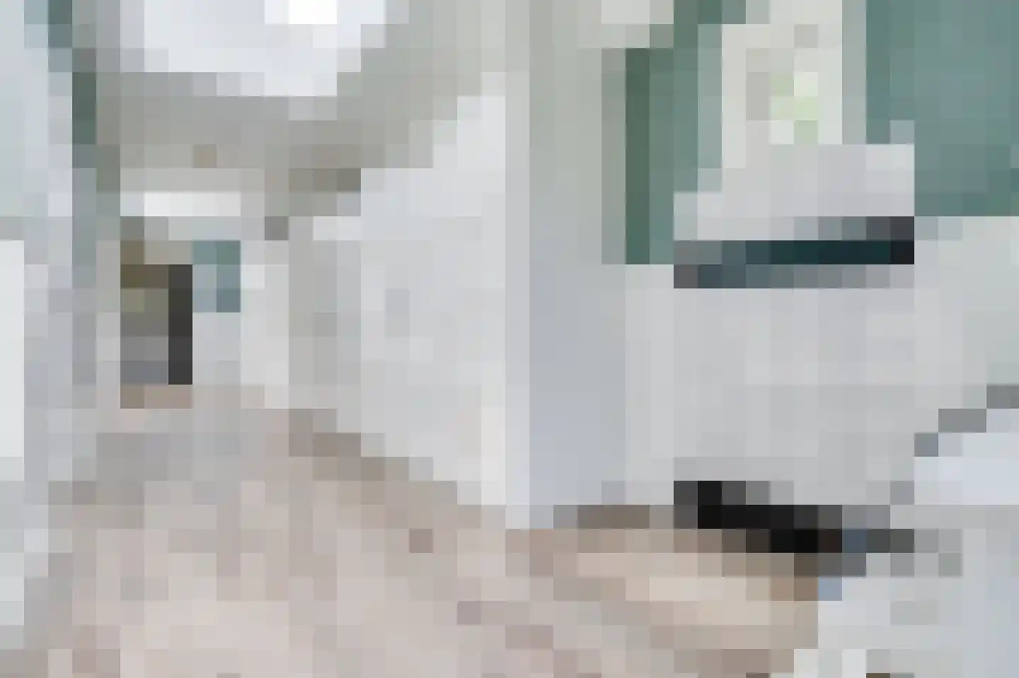 Laanweg 17 Oudkarspel thumbnail 36