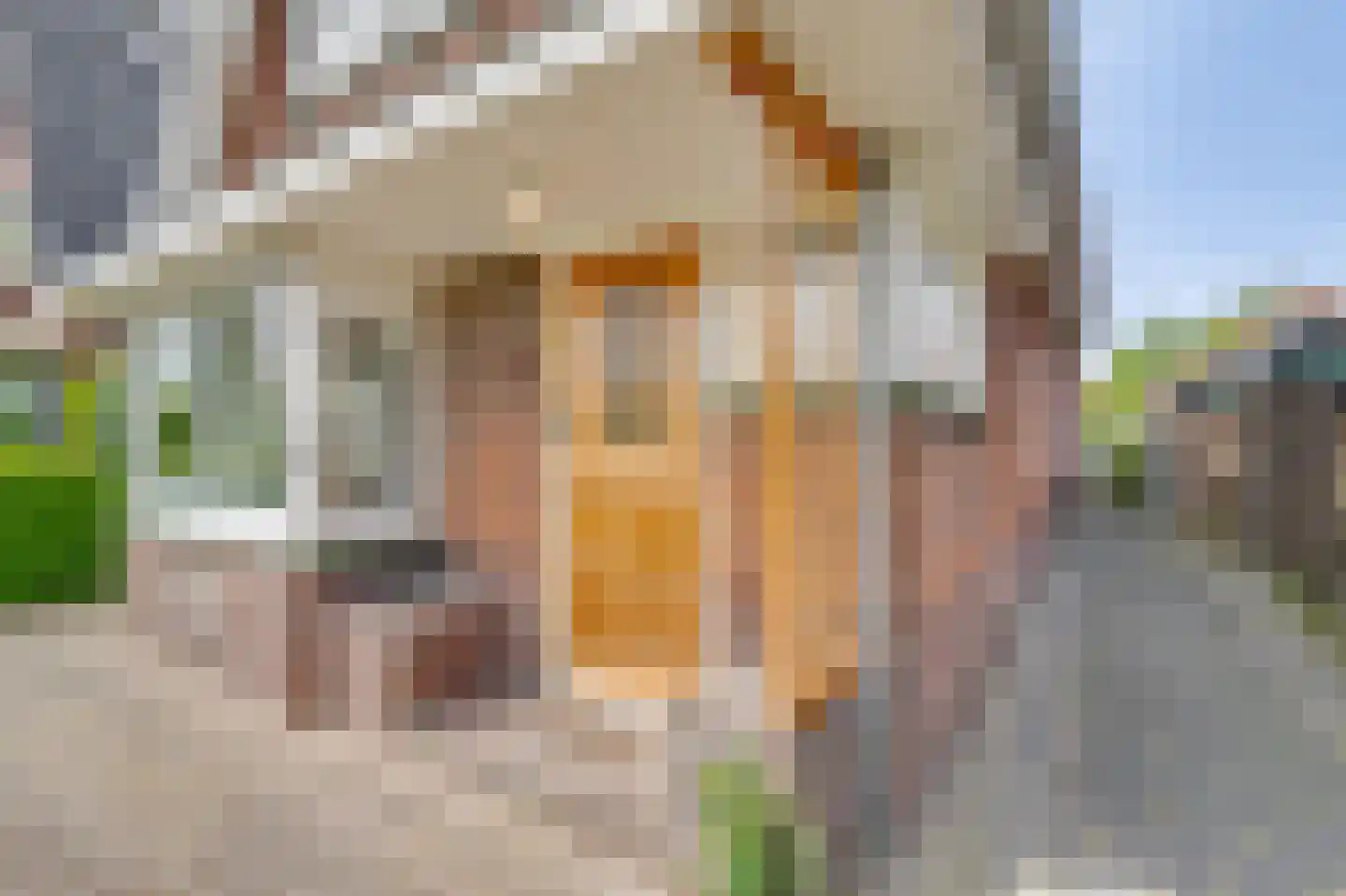 Laanweg 17 Oudkarspel thumbnail 4
