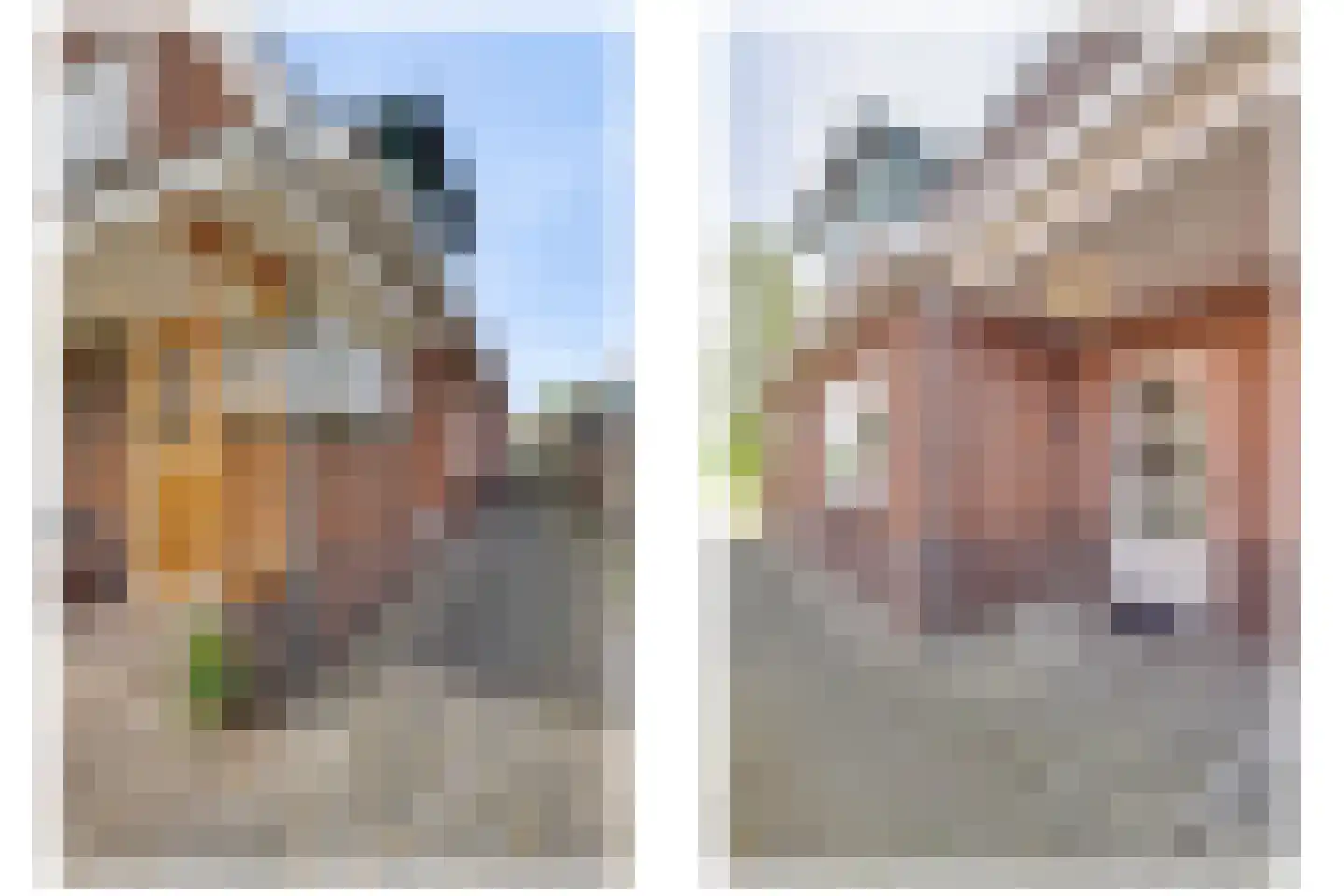 Laanweg 17 Oudkarspel thumbnail 5