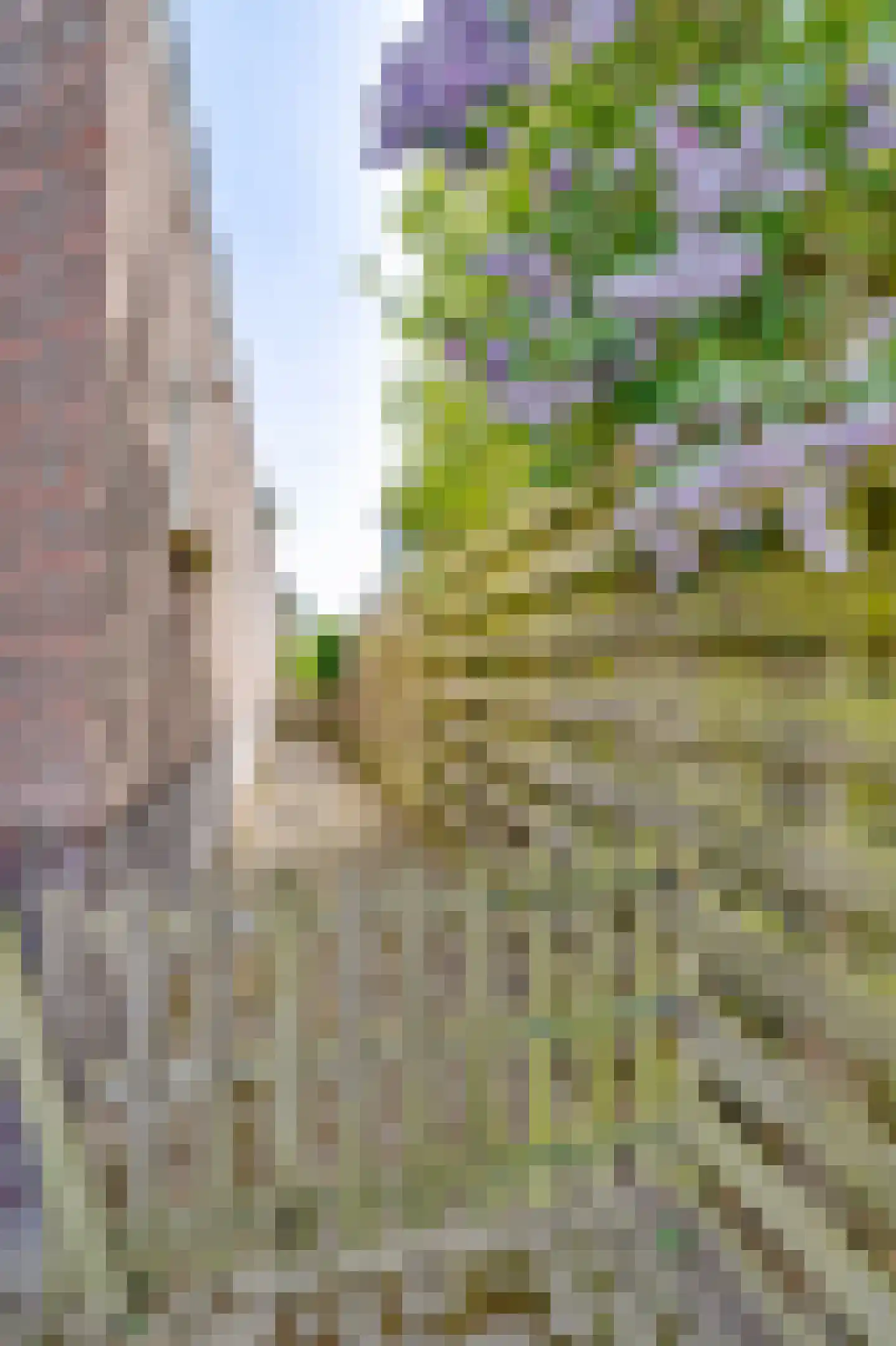 Laanweg 17 Oudkarspel thumbnail 50