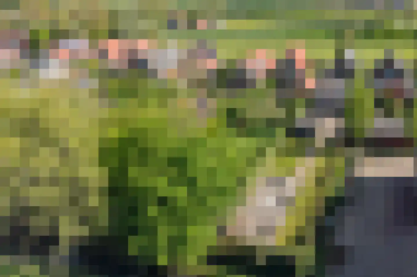 Laanweg 17 Oudkarspel thumbnail 51