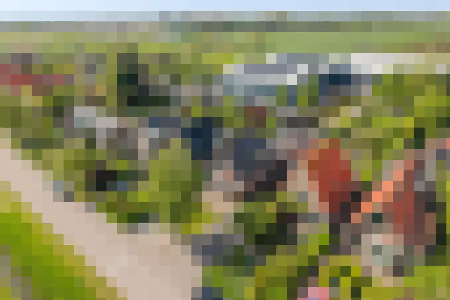 Laanweg 17 Oudkarspel thumbnail 56