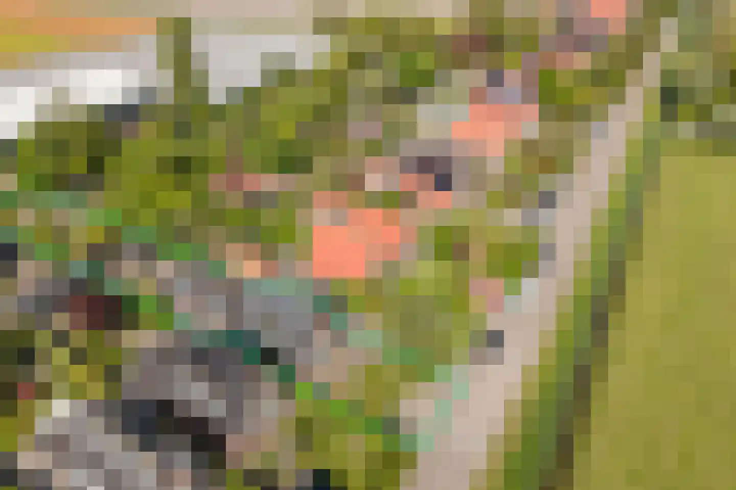 Laanweg 17 Oudkarspel thumbnail 57
