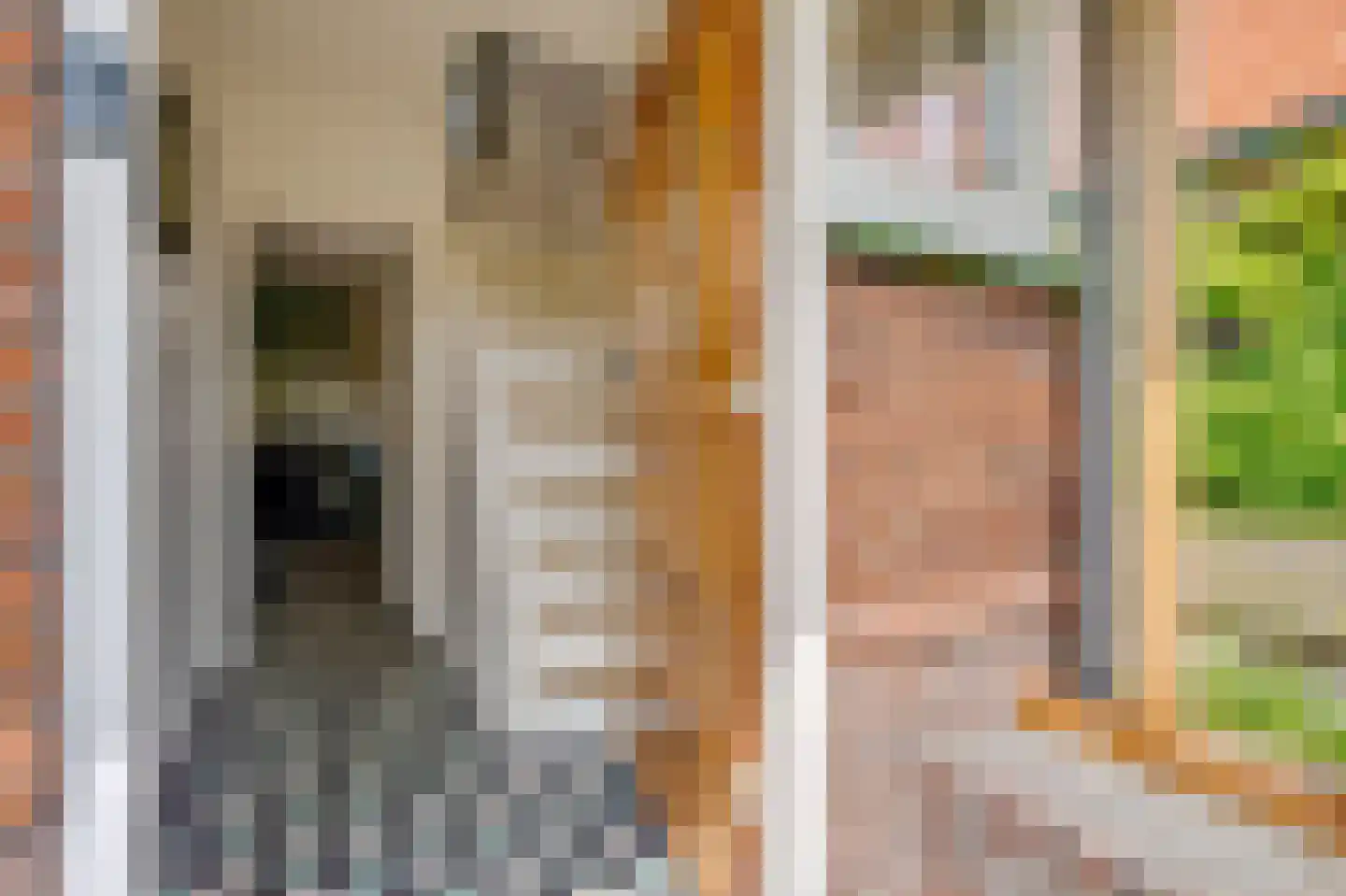Laanweg 17 Oudkarspel thumbnail 6