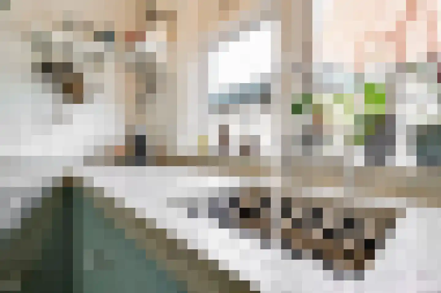 Laanweg 17 Oudkarspel thumbnail 9