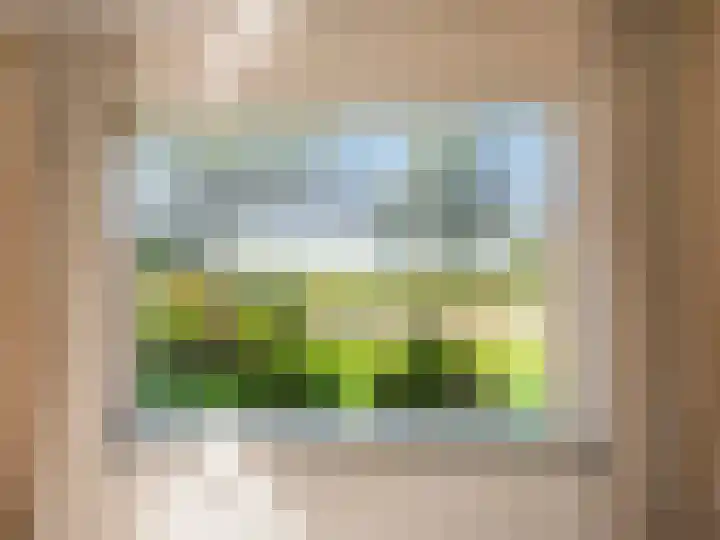Laanweg 18 Schoorl thumbnail 10