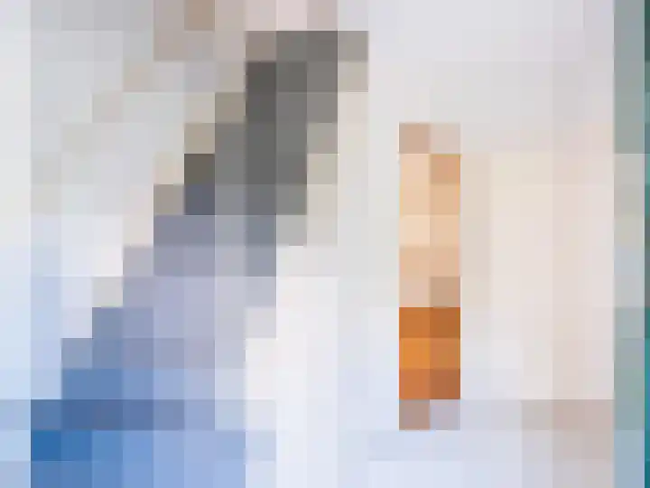Laanweg 18 Schoorl thumbnail 12