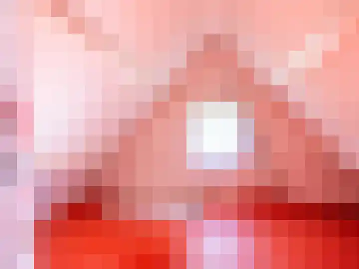 Laanweg 18 Schoorl thumbnail 20