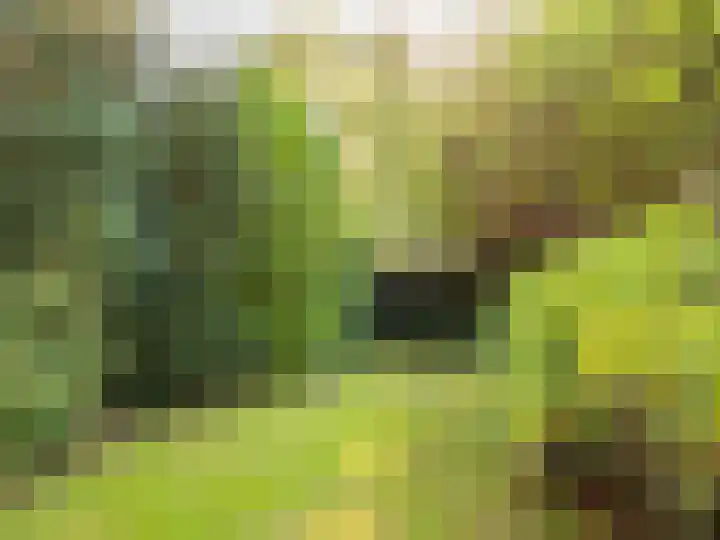 Laanweg 18 Schoorl thumbnail 24