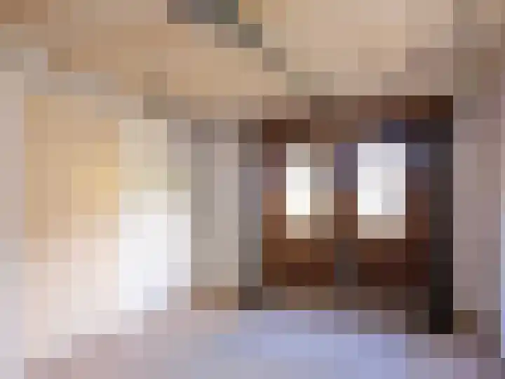 Laanweg 18 Schoorl thumbnail 25