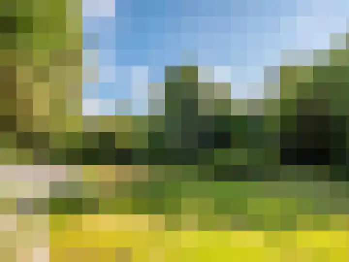 Laanweg 18 Schoorl thumbnail 28