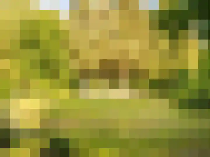 Laanweg 18 Schoorl thumbnail 29