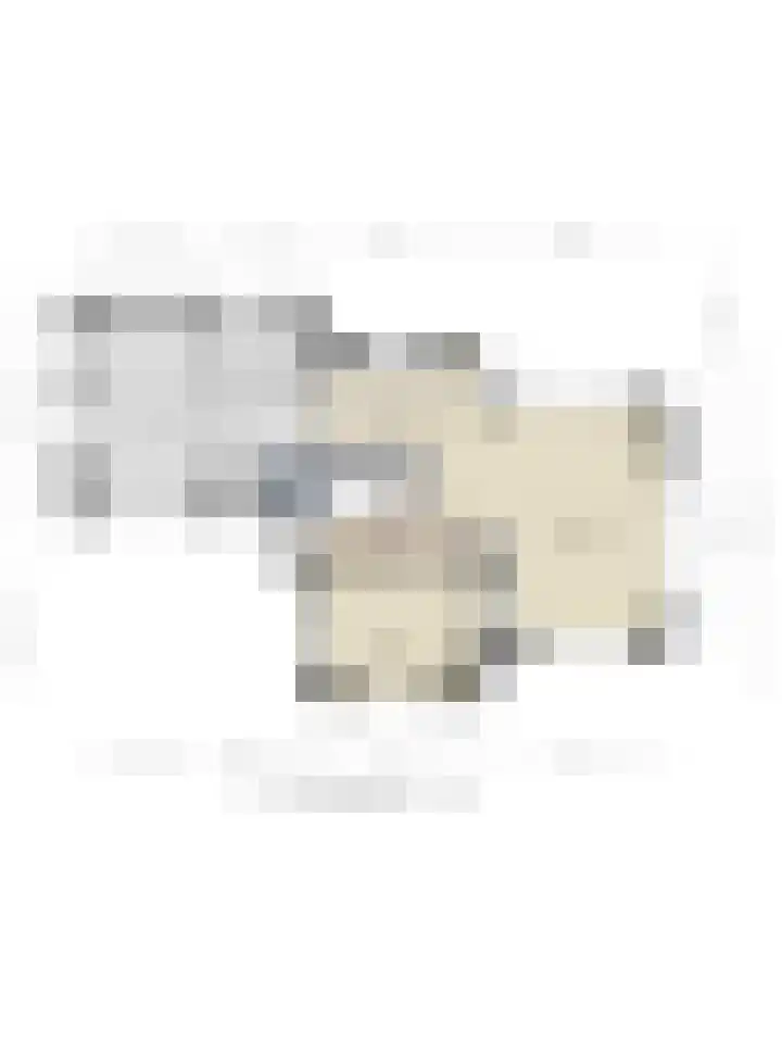 Laanweg 18 Schoorl thumbnail 30