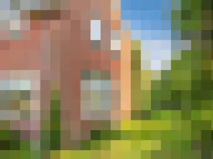 Laanweg 18 Schoorl thumbnail 4