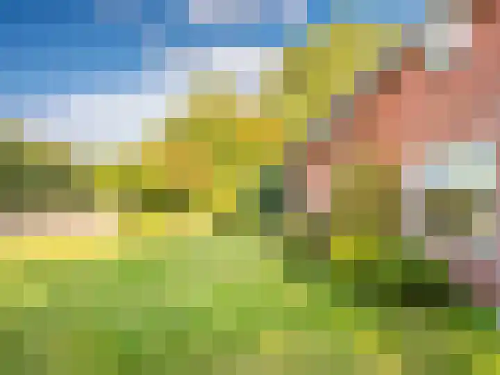 Laanweg 18 Schoorl thumbnail 5