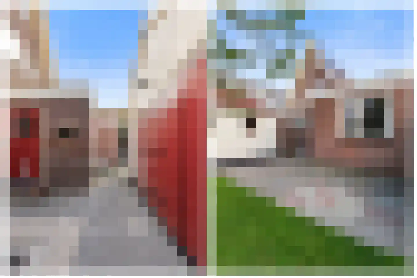 Laanweg 20 Oudkarspel thumbnail 10