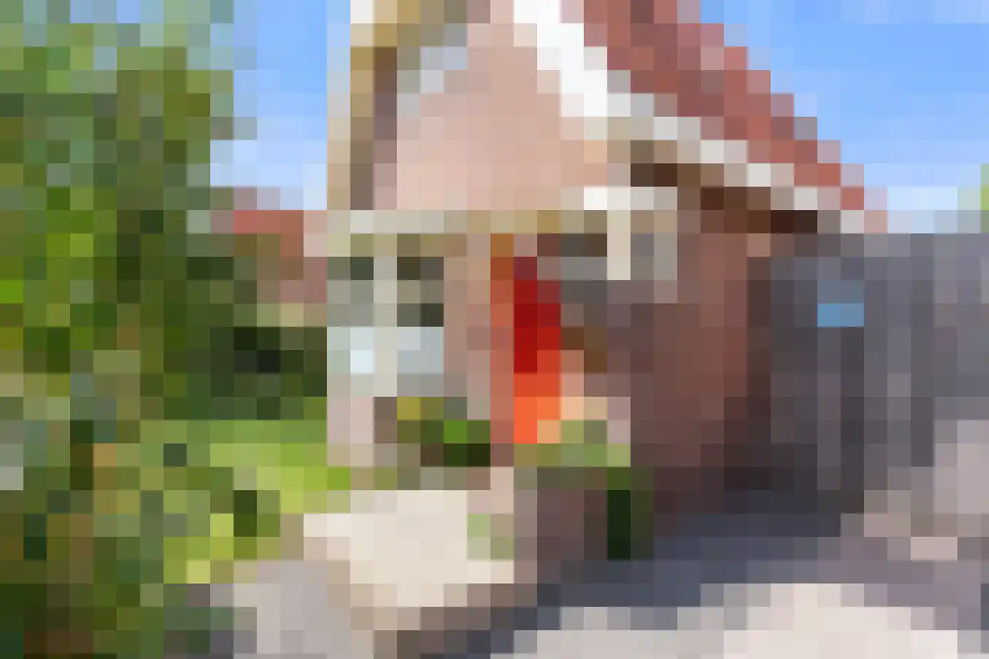 Laanweg 20 Oudkarspel thumbnail 11