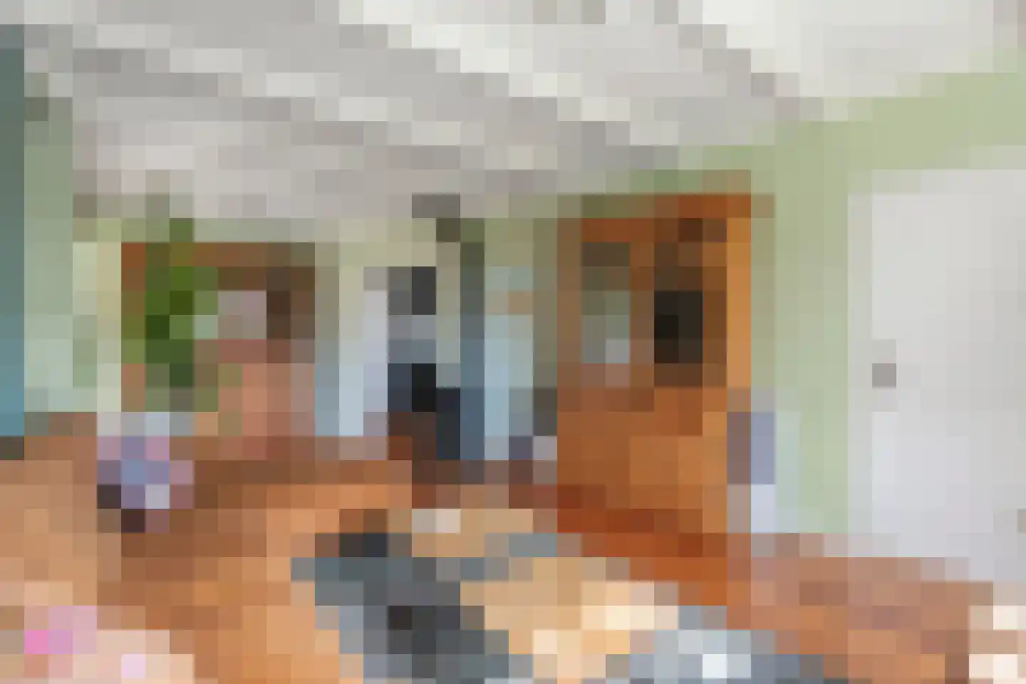 Laanweg 20 Oudkarspel thumbnail 16