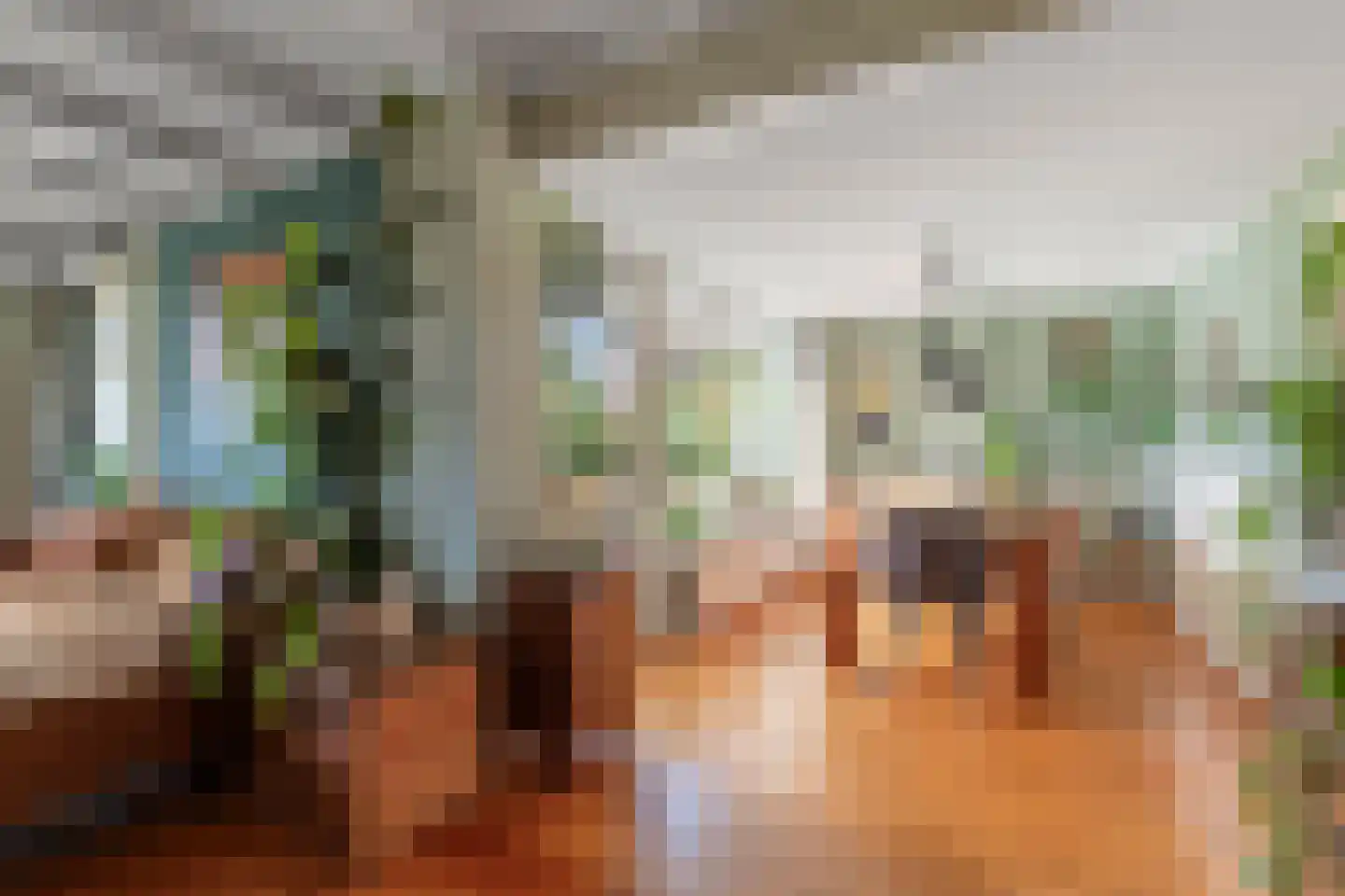 Laanweg 20 Oudkarspel thumbnail 17