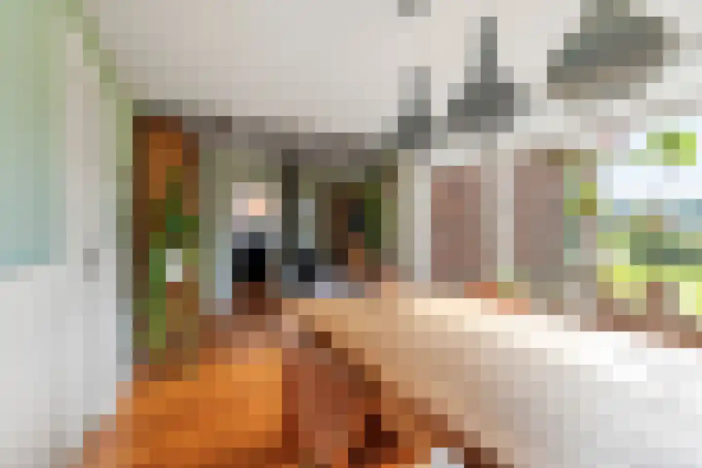 Laanweg 20 Oudkarspel thumbnail 18