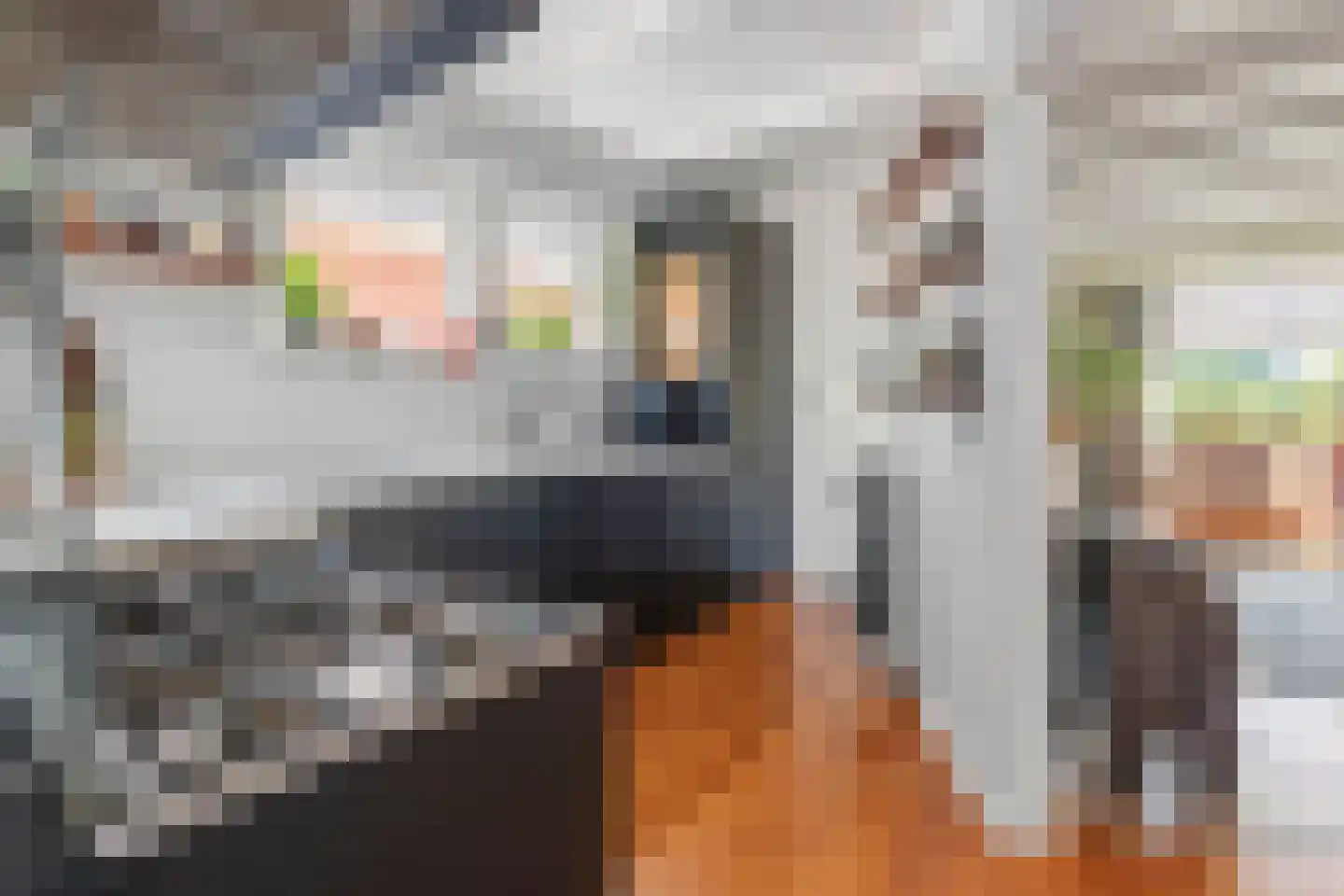 Laanweg 20 Oudkarspel thumbnail 19
