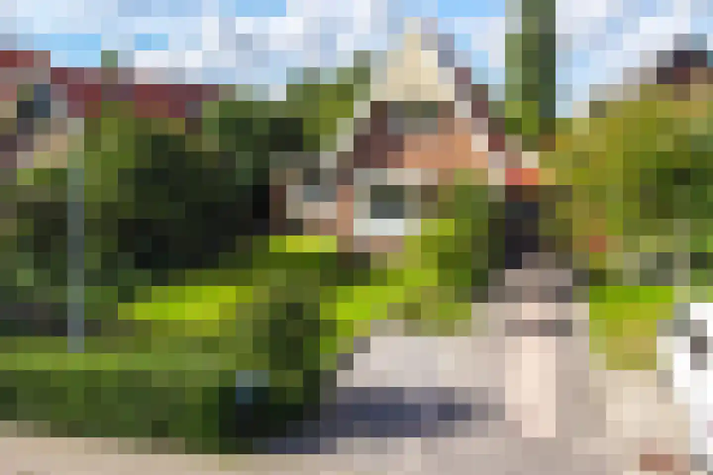 Laanweg 20 Oudkarspel foto 2