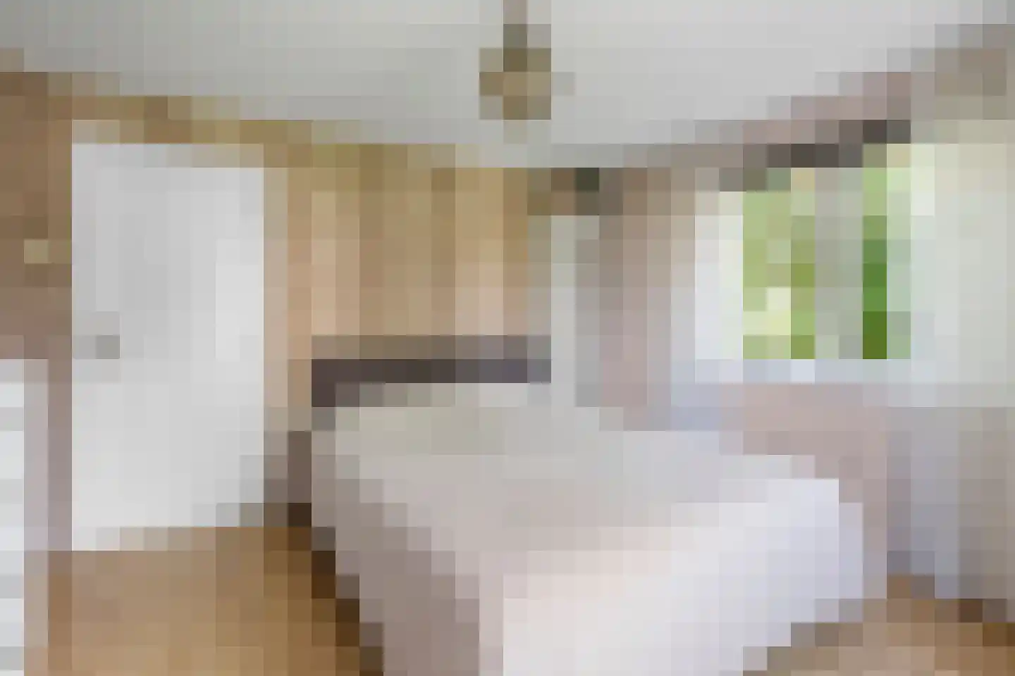 Laanweg 20 Oudkarspel thumbnail 22