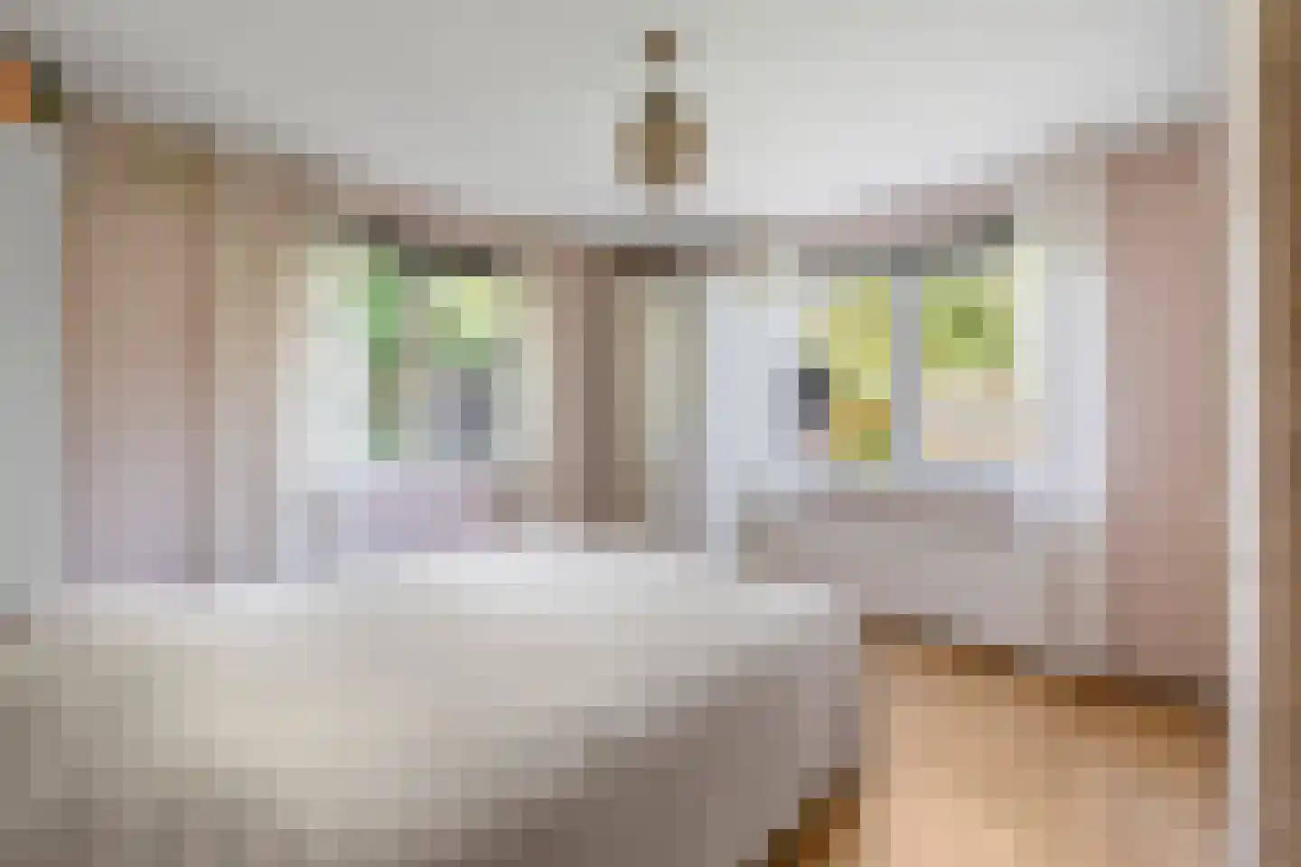 Laanweg 20 Oudkarspel thumbnail 23
