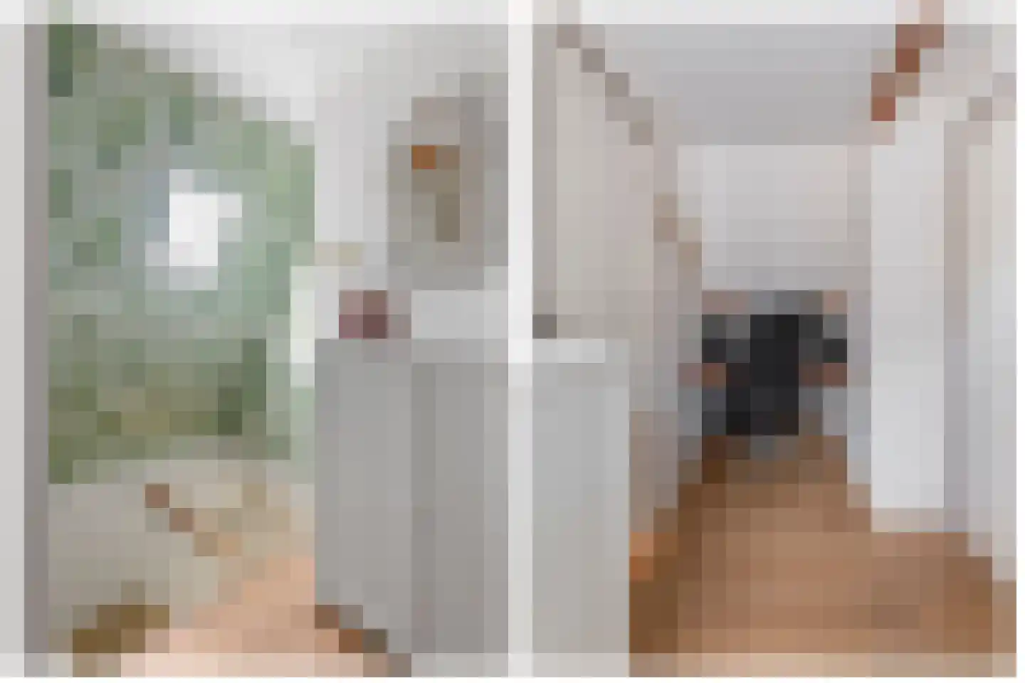 Laanweg 20 Oudkarspel thumbnail 28
