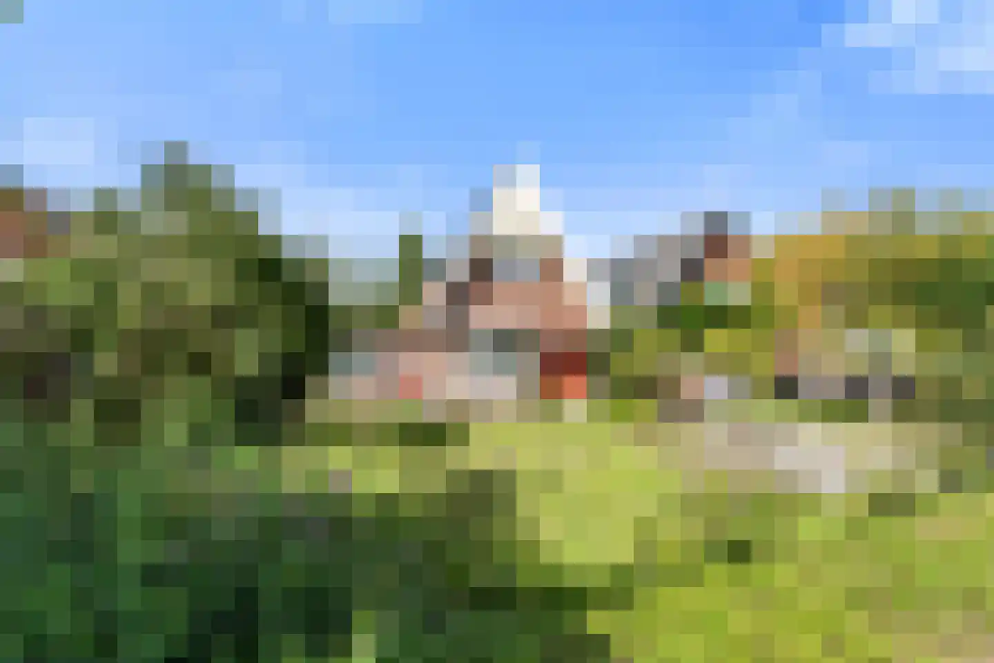 Laanweg 20 Oudkarspel foto 3
