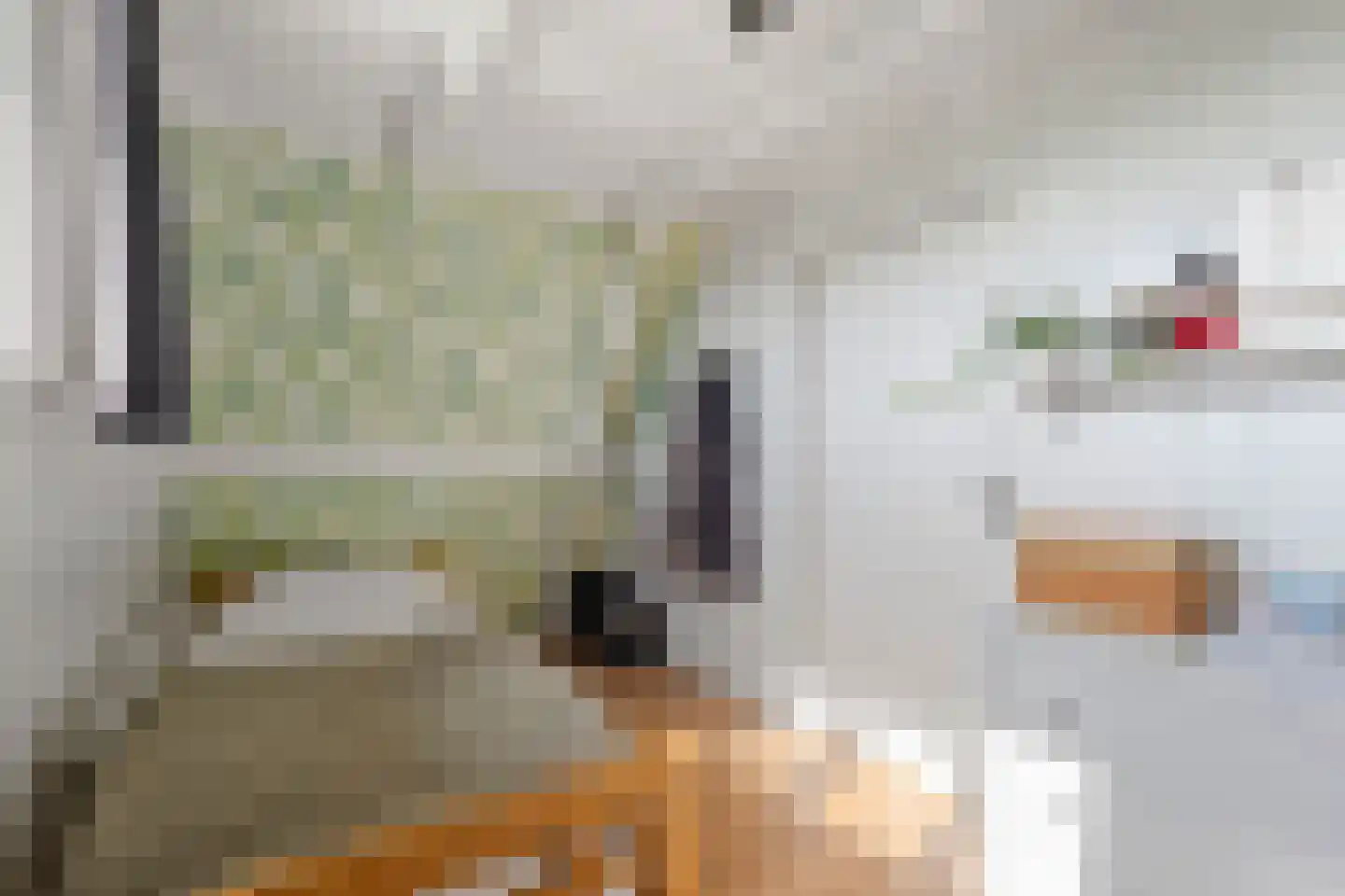 Laanweg 20 Oudkarspel thumbnail 30