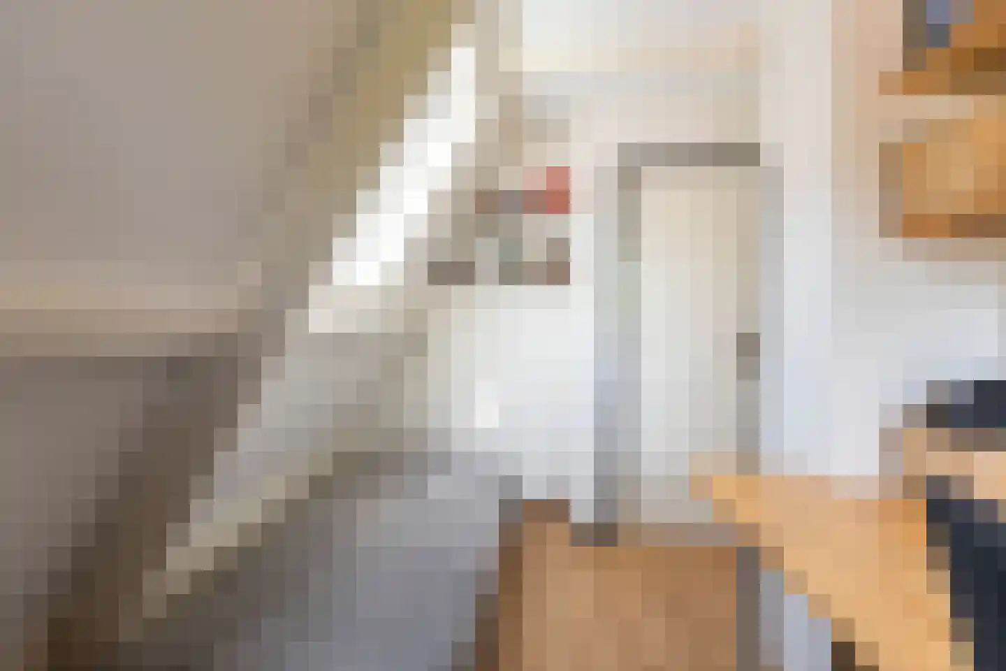 Laanweg 20 Oudkarspel thumbnail 34