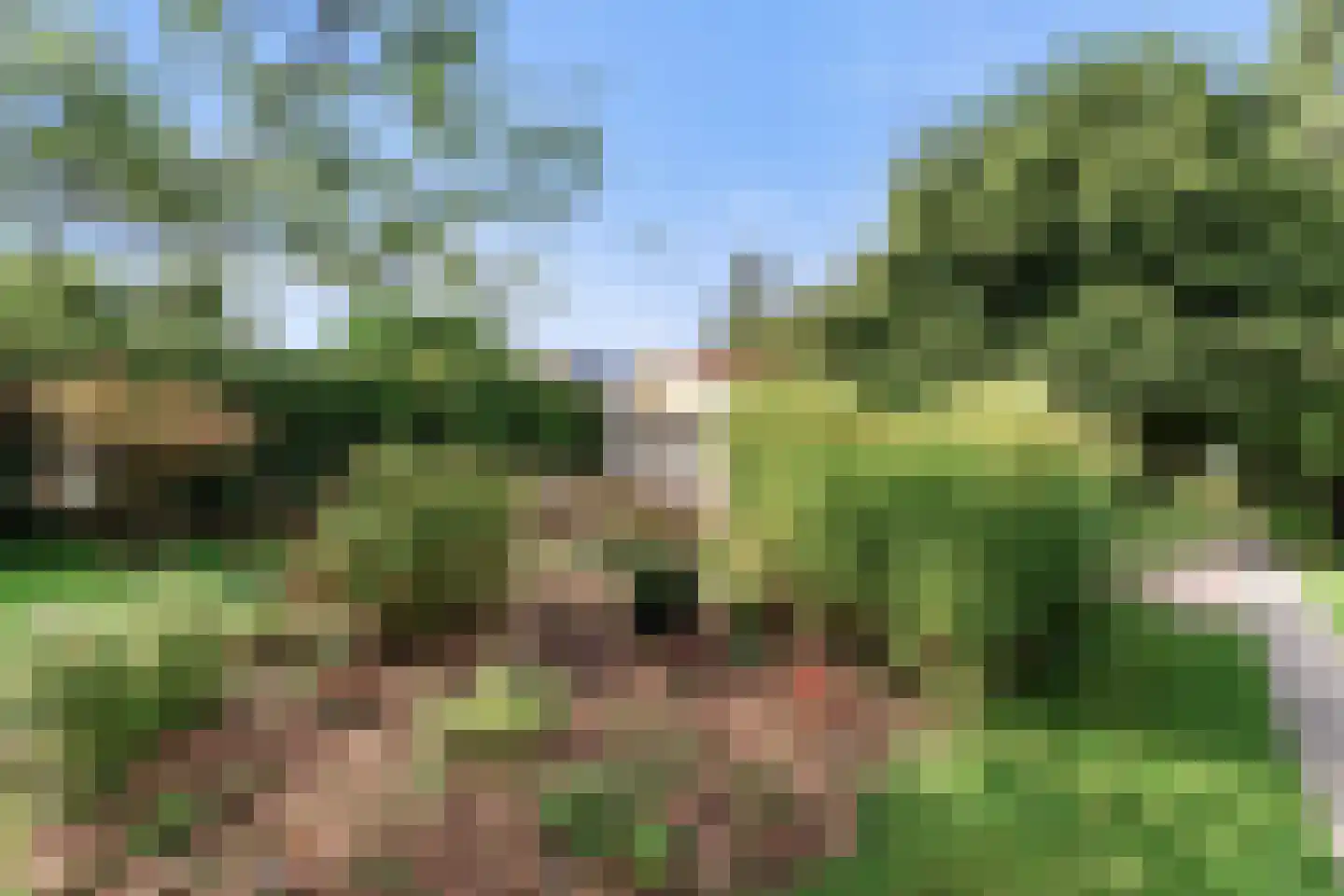 Laanweg 20 Oudkarspel thumbnail 36