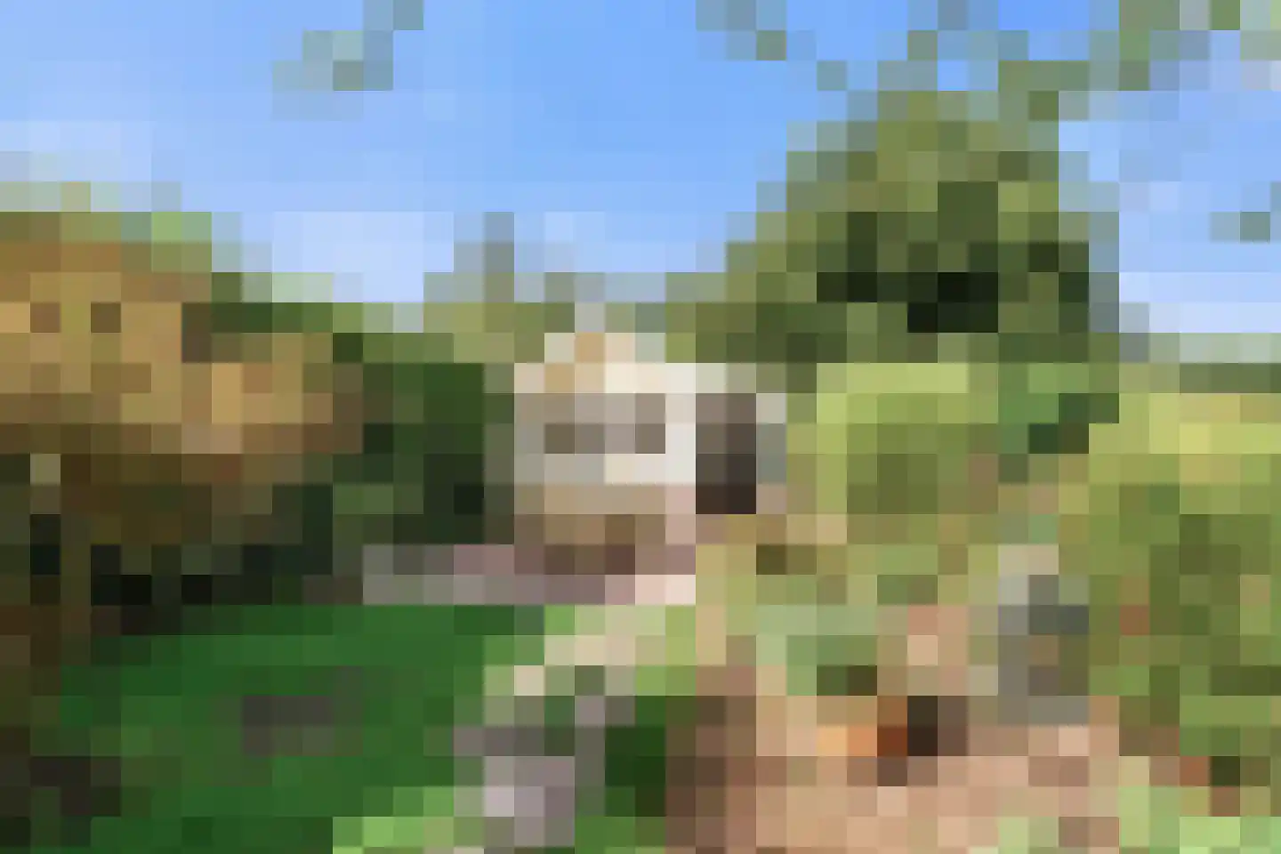 Laanweg 20 Oudkarspel thumbnail 39