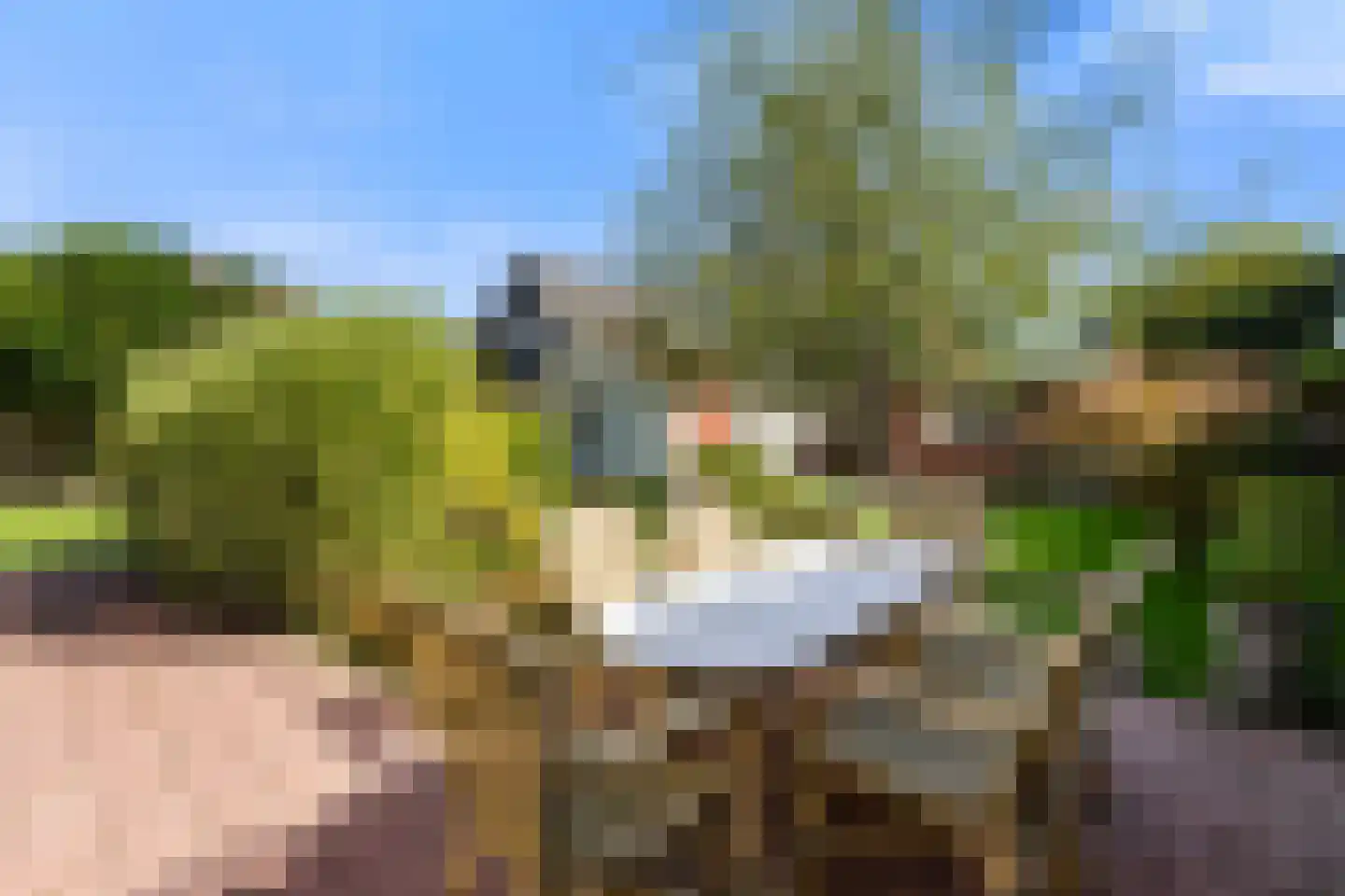 Laanweg 20 Oudkarspel thumbnail 40
