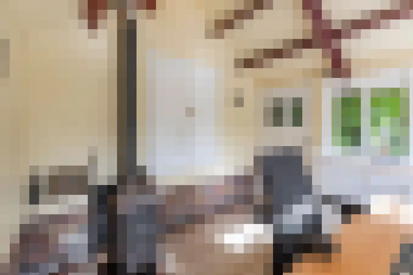 Laanweg 20 Oudkarspel thumbnail 42