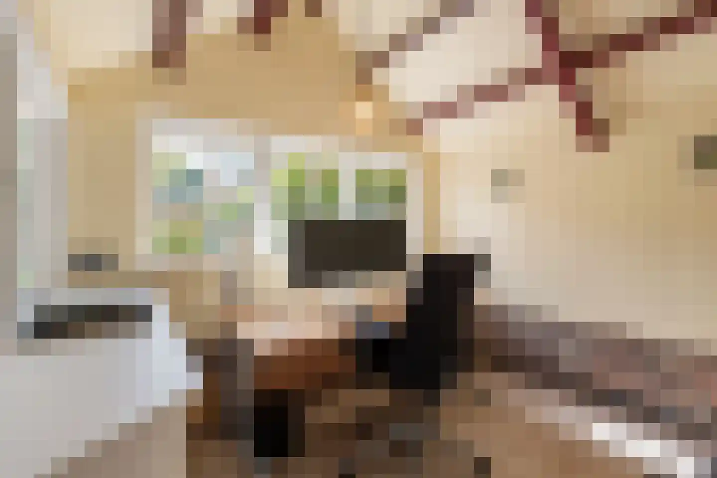 Laanweg 20 Oudkarspel thumbnail 43