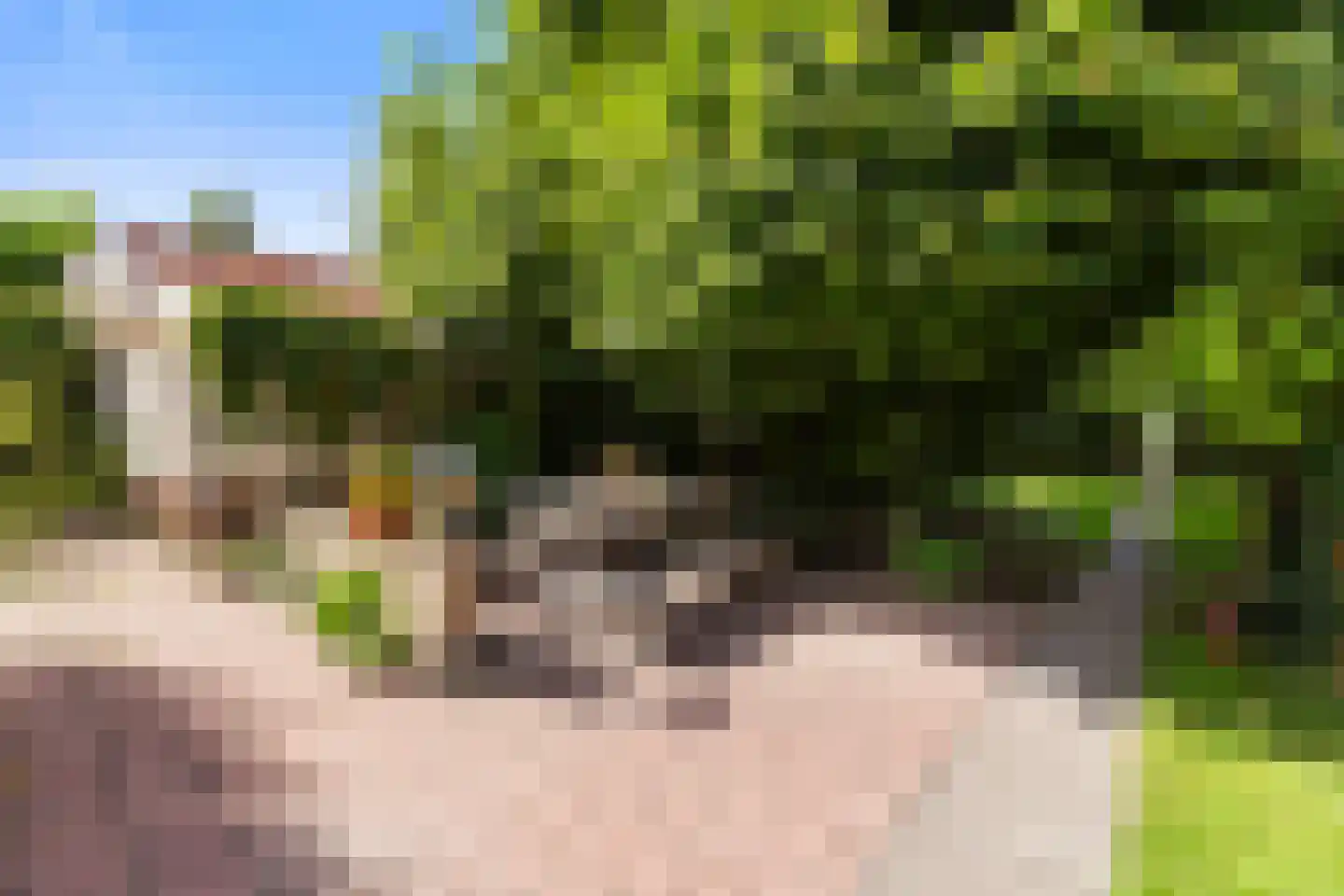 Laanweg 20 Oudkarspel thumbnail 46