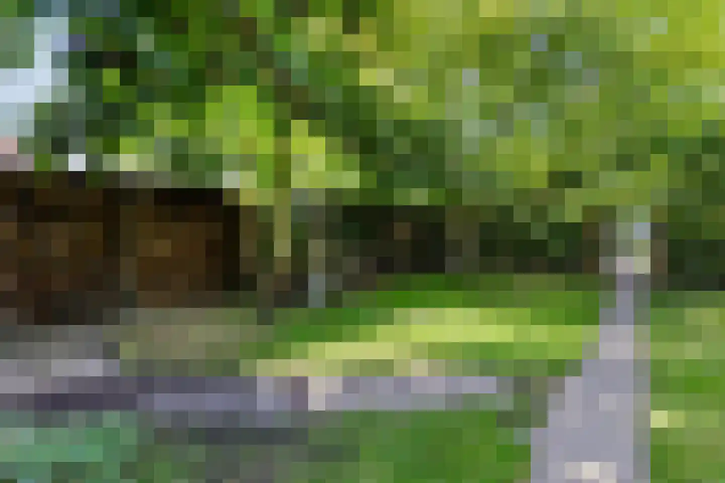 Laanweg 20 Oudkarspel thumbnail 48