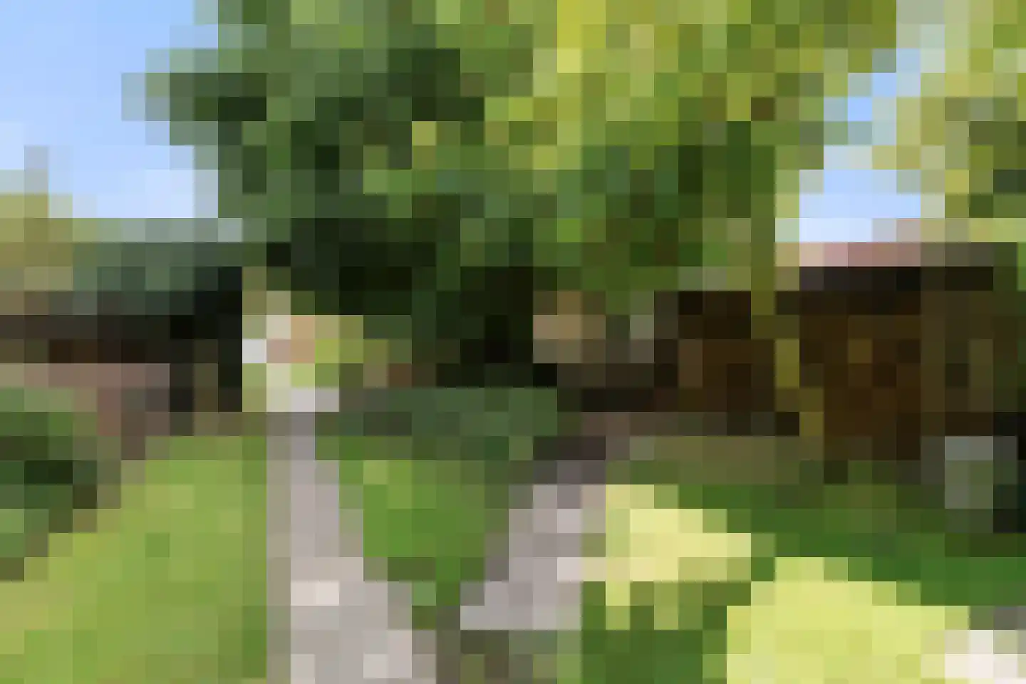 Laanweg 20 Oudkarspel thumbnail 49