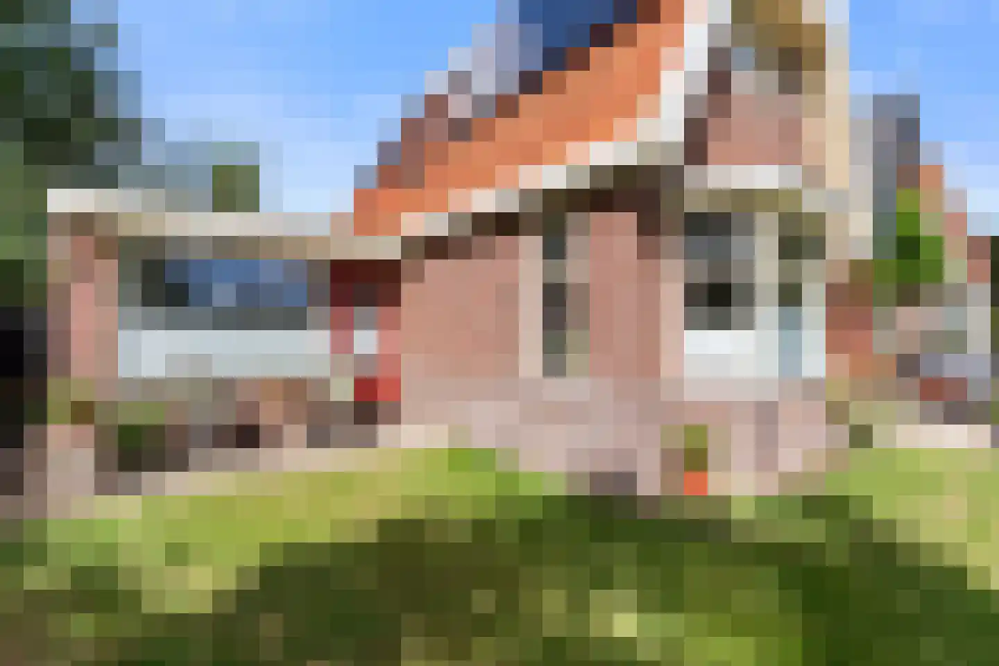 Laanweg 20 Oudkarspel thumbnail 5
