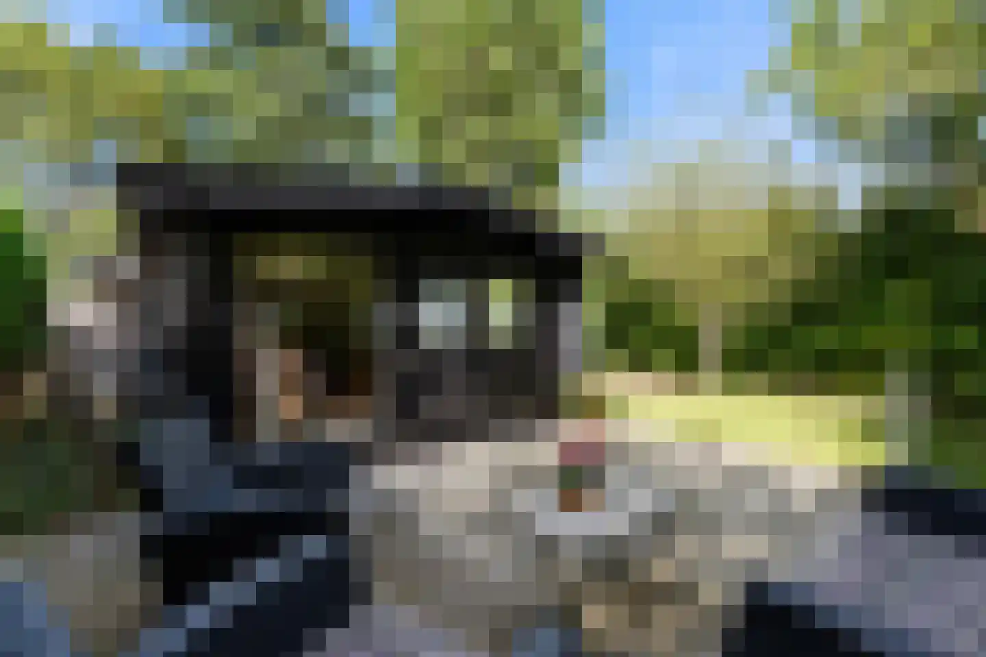 Laanweg 20 Oudkarspel thumbnail 51