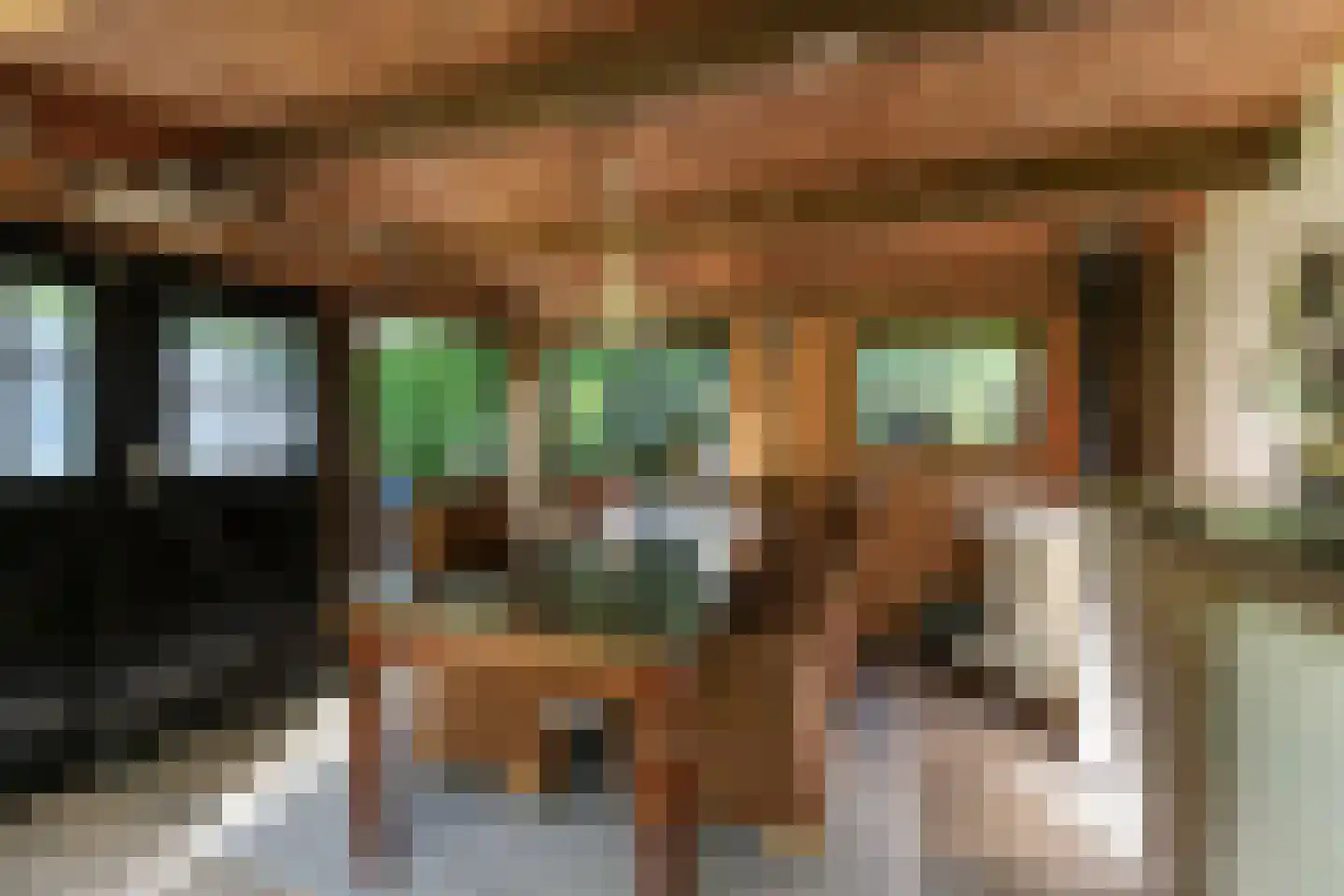 Laanweg 20 Oudkarspel thumbnail 53