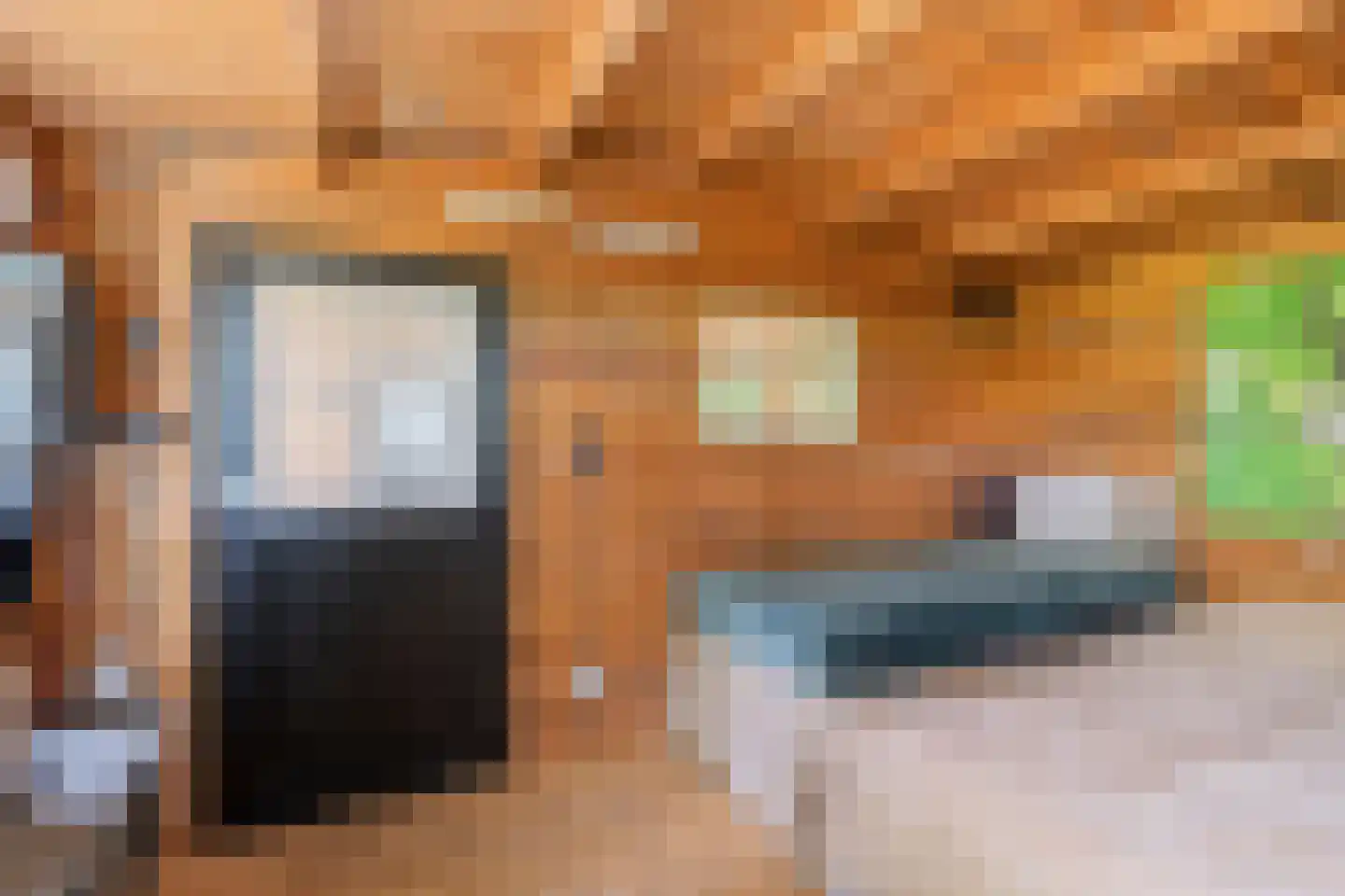 Laanweg 20 Oudkarspel thumbnail 56