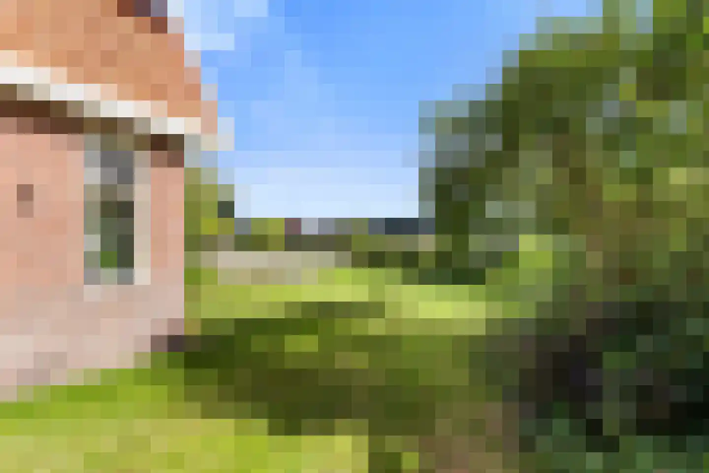 Laanweg 20 Oudkarspel thumbnail 6