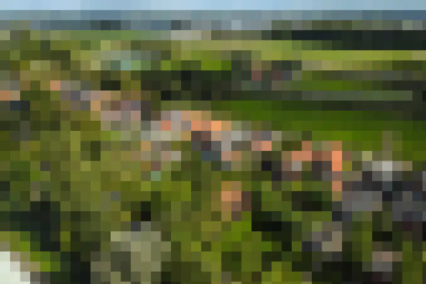 Laanweg 20 Oudkarspel thumbnail 60