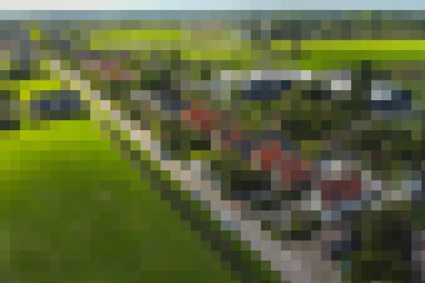Laanweg 20 Oudkarspel thumbnail 61
