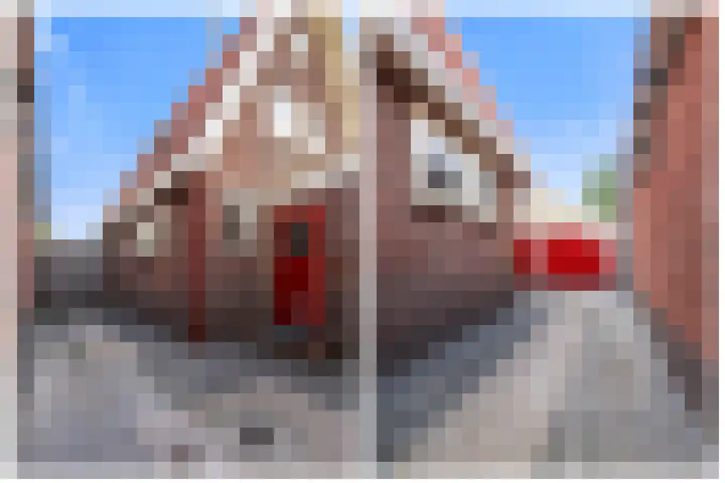 Laanweg 20 Oudkarspel thumbnail 7