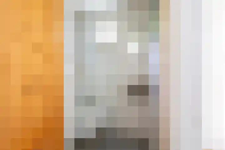 Laanweg 23 Oudkarspel thumbnail 10