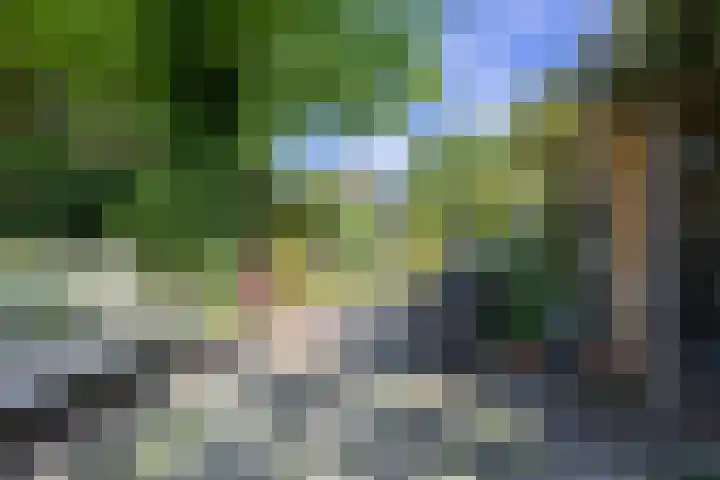 Laanweg 23 Oudkarspel thumbnail 18